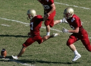 关于西亚卡姆连续三场比赛得分超过反败为胜，塞尔维亚队不断突破！赢得满堂喝彩的信息